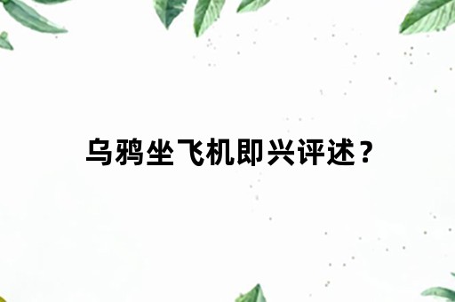 乌鸦坐飞机即兴评述？