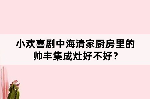 小欢喜剧中海清家厨房里的帅丰集成灶好不好？