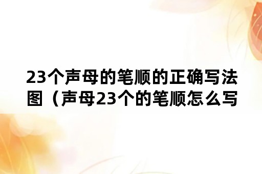 23个声母的笔顺的正确写法图（声母23个的笔顺怎么写）
