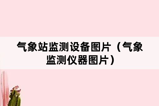 气象站监测设备图片（气象监测仪器图片）