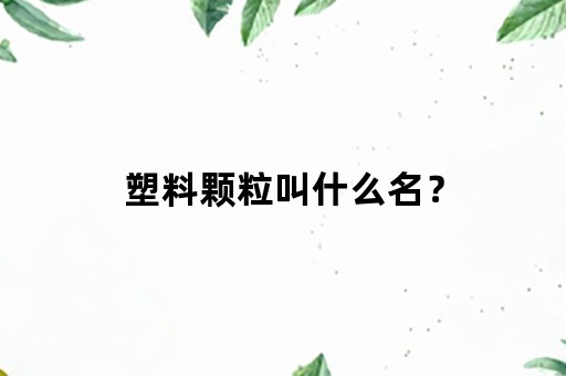 塑料颗粒叫什么名？