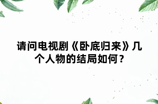 请问电视剧《卧底归来》几个人物的结局如何？