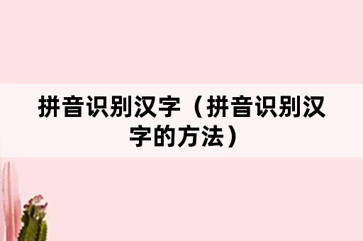 拼音识别汉字（拼音识别汉字的方法）