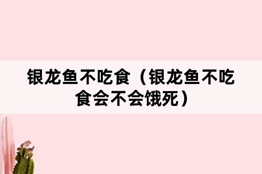 银龙鱼不吃食（银龙鱼不吃食会不会饿死）