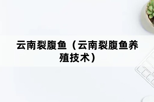 云南裂腹鱼（云南裂腹鱼养殖技术）