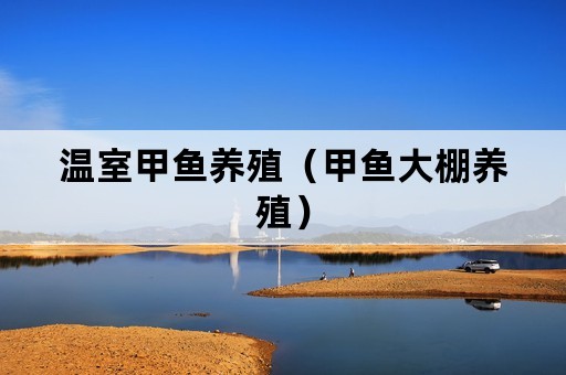 温室甲鱼养殖（甲鱼大棚养殖）