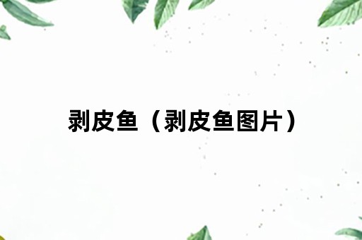 剥皮鱼（剥皮鱼图片）