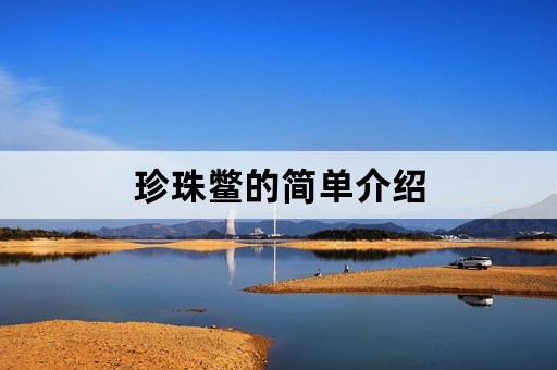 珍珠鳖的简单介绍