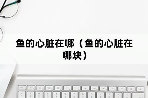 鱼的心脏在哪（鱼的心脏在哪块）