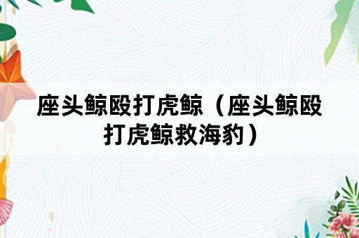 座头鲸殴打虎鲸（座头鲸殴打虎鲸救海豹）