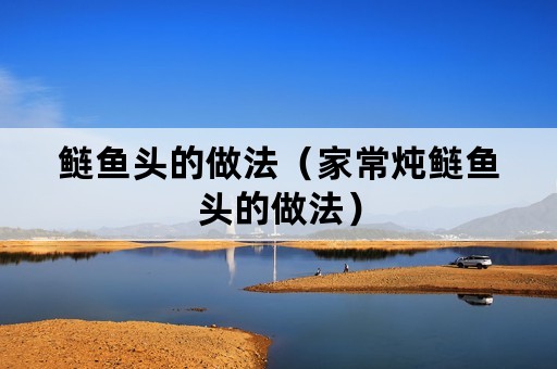 鲢鱼头的做法（家常炖鲢鱼头的做法）
