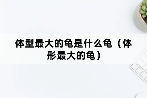 体型最大的龟是什么龟（体形最大的龟）