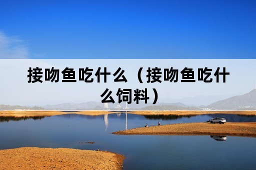 接吻鱼吃什么（接吻鱼吃什么饲料）