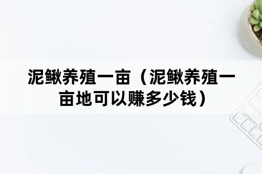 泥鳅养殖一亩（泥鳅养殖一亩地可以赚多少钱）