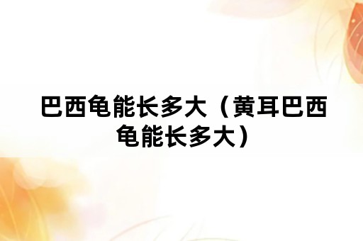 巴西龟能长多大（黄耳巴西龟能长多大）