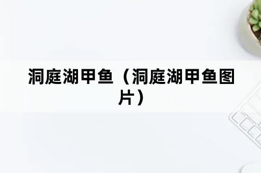 洞庭湖甲鱼（洞庭湖甲鱼图片）
