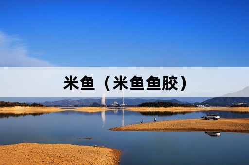 米鱼（米鱼鱼胶）