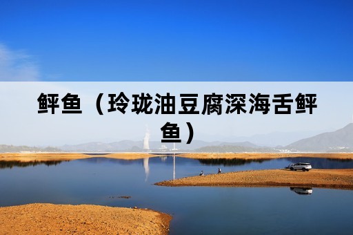 鲆鱼（玲珑油豆腐深海舌鲆鱼）