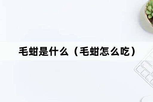 毛蚶是什么（毛蚶怎么吃）