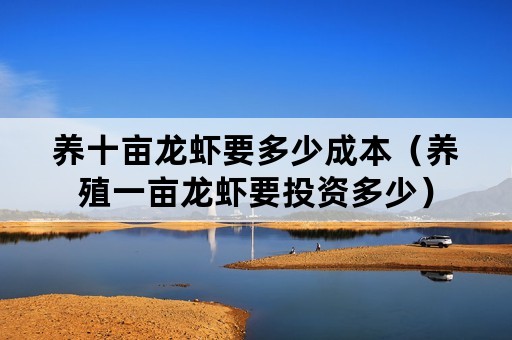 养十亩龙虾要多少成本（养殖一亩龙虾要投资多少）