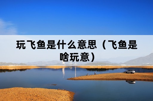 玩飞鱼是什么意思（飞鱼是啥玩意）