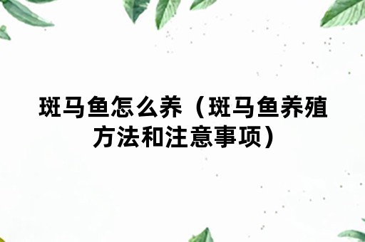 斑马鱼怎么养（斑马鱼养殖方法和注意事项）