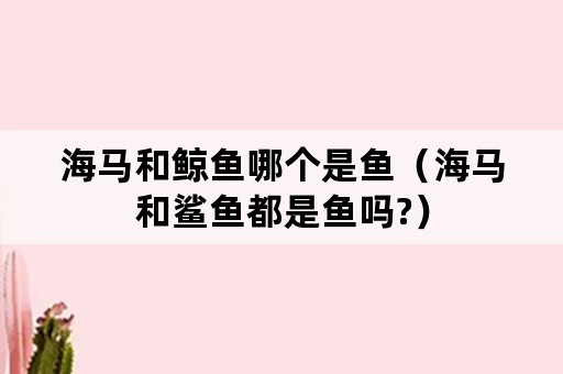 海马和鲸鱼哪个是鱼（海马和鲨鱼都是鱼吗?）