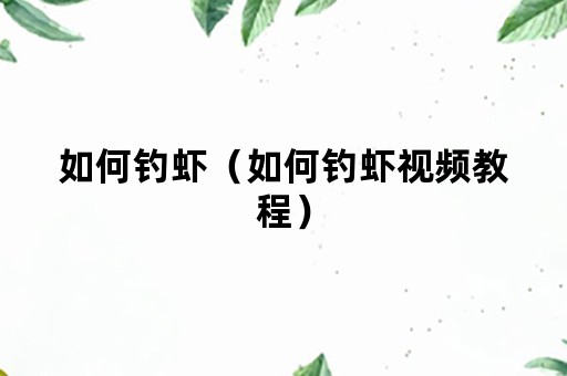 如何钓虾（如何钓虾视频教程）
