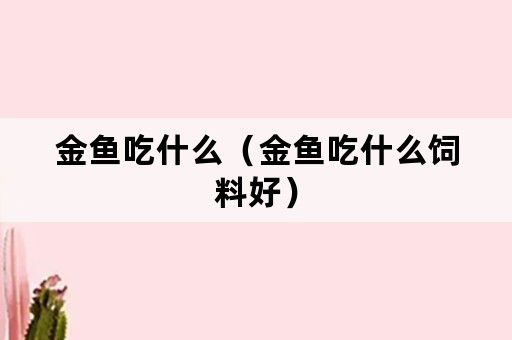 金鱼吃什么（金鱼吃什么饲料好）