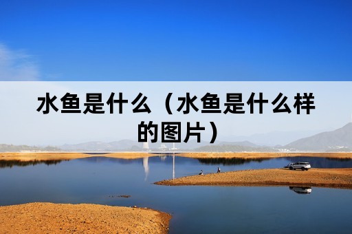 水鱼是什么（水鱼是什么样的图片）