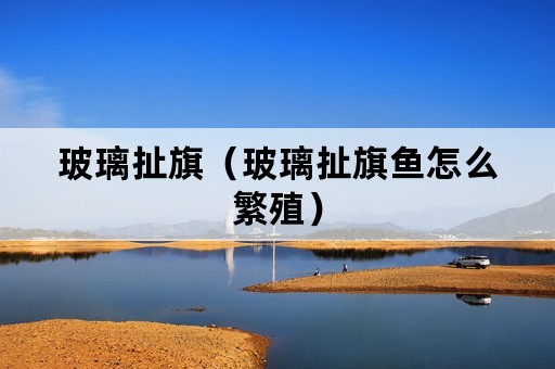 玻璃扯旗（玻璃扯旗鱼怎么繁殖）