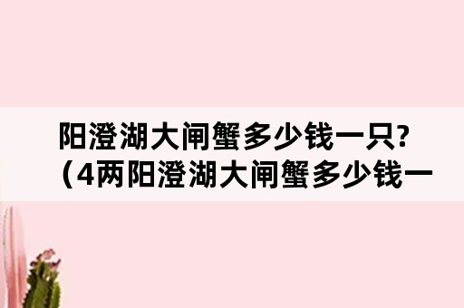 阳澄湖大闸蟹多少钱一只?（4两阳澄湖大闸蟹多少钱一只）