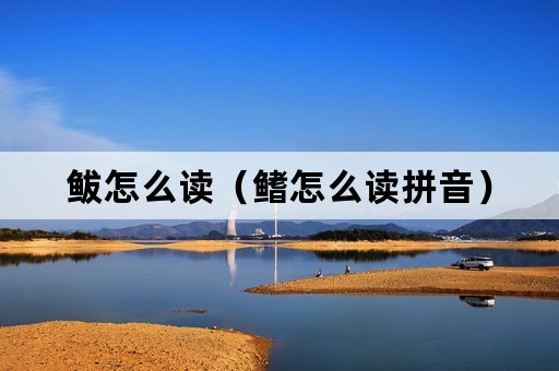 鲅怎么读（鳍怎么读拼音）