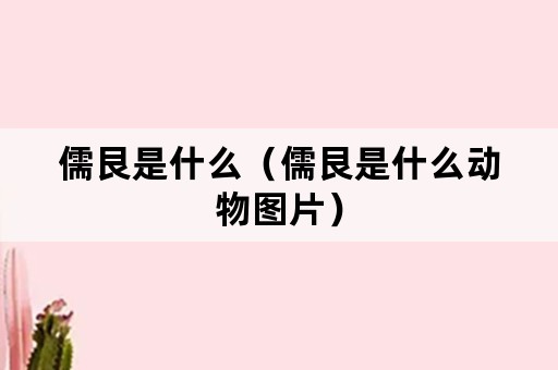 儒艮是什么（儒艮是什么动物图片）