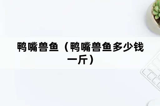 鸭嘴兽鱼（鸭嘴兽鱼多少钱一斤）