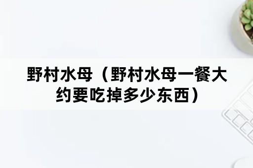 野村水母（野村水母一餐大约要吃掉多少东西）