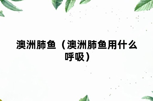 澳洲肺鱼（澳洲肺鱼用什么呼吸）