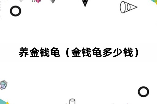 养金钱龟（金钱龟多少钱）