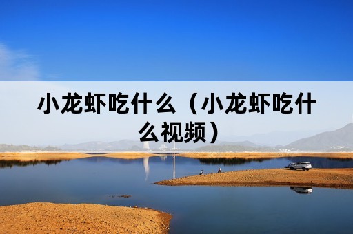 小龙虾吃什么（小龙虾吃什么视频）