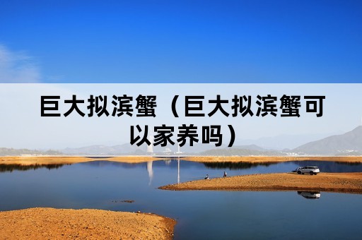 巨大拟滨蟹（巨大拟滨蟹可以家养吗）