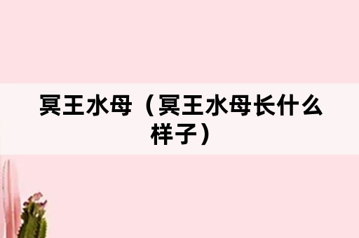 冥王水母（冥王水母长什么样子）