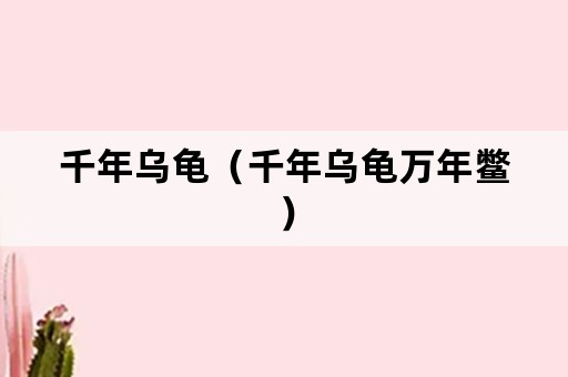 千年乌龟（千年乌龟万年鳖）