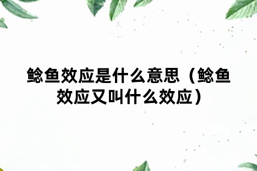 鲶鱼效应是什么意思（鲶鱼效应又叫什么效应）