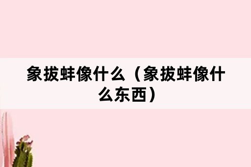 象拔蚌像什么（象拔蚌像什么东西）