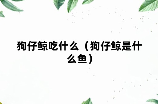 狗仔鲸吃什么（狗仔鲸是什么鱼）