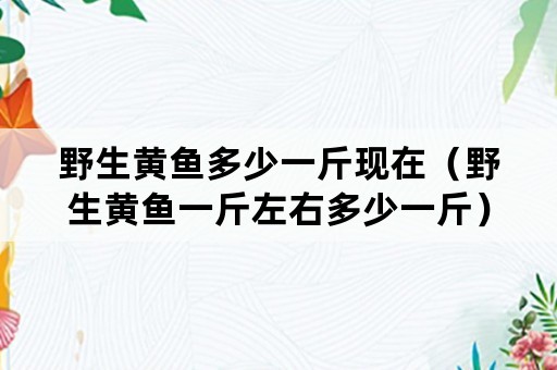 野生黄鱼多少一斤现在（野生黄鱼一斤左右多少一斤）