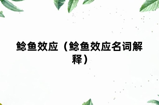 鲶鱼效应（鲶鱼效应名词解释）