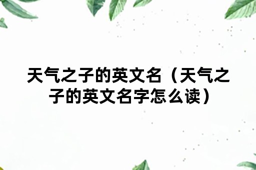 天气之子的英文名（天气之子的英文名字怎么读）