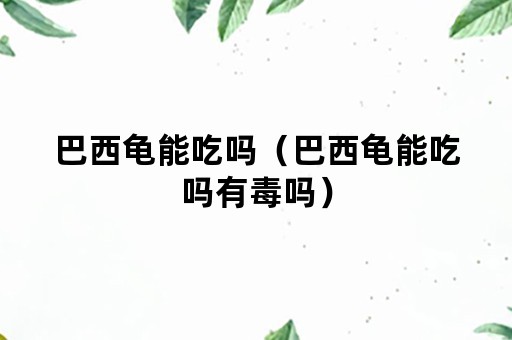 巴西龟能吃吗（巴西龟能吃吗有毒吗）