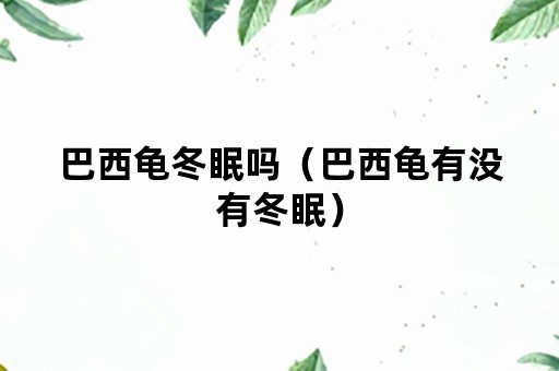 巴西龟冬眠吗（巴西龟有没有冬眠）